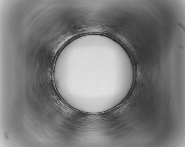 X0000101661212200807311427