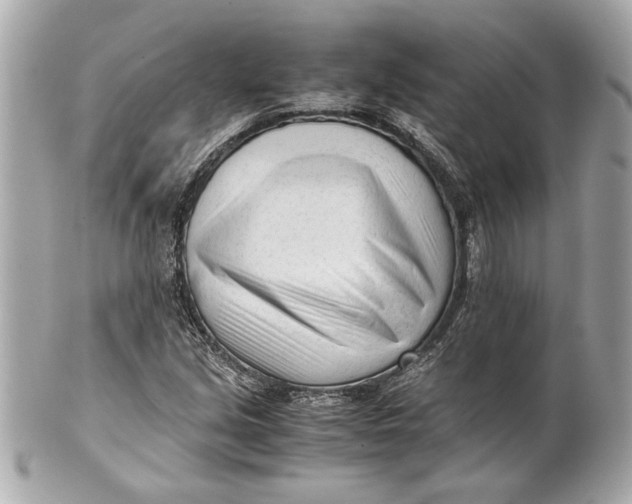 X0000101661213200807311427