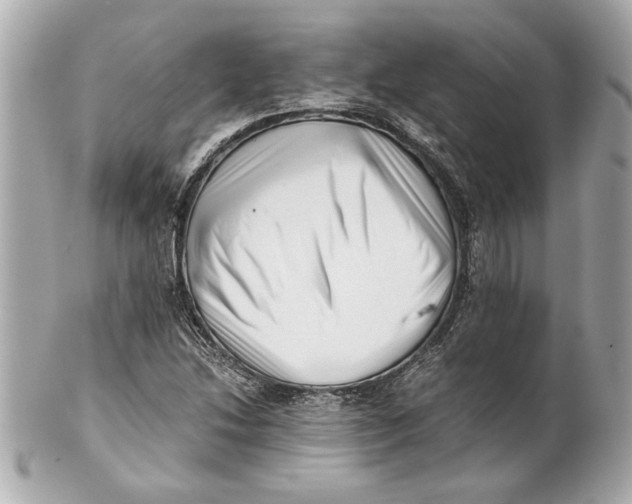 X0000101661214200807311427