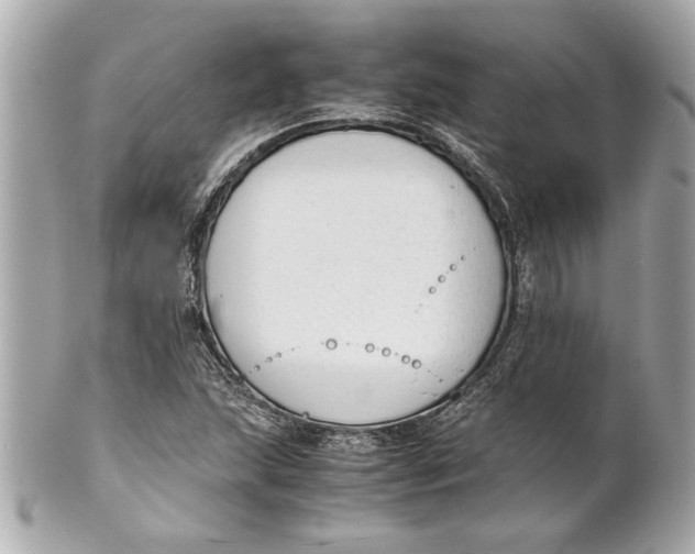 X0000101661215200807311428