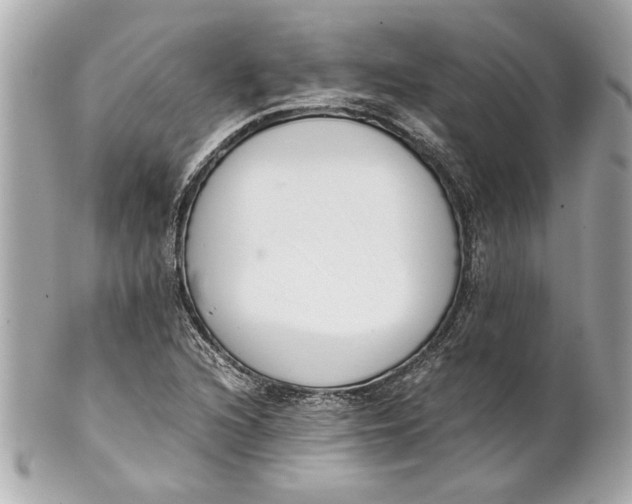 X0000101661216200807311428