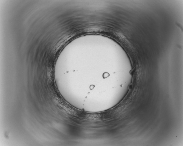 X0000101661217200807311428