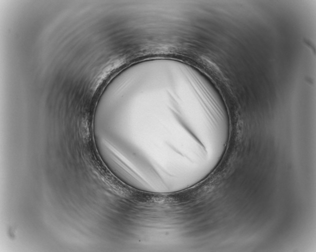 X0000101661218200807311428