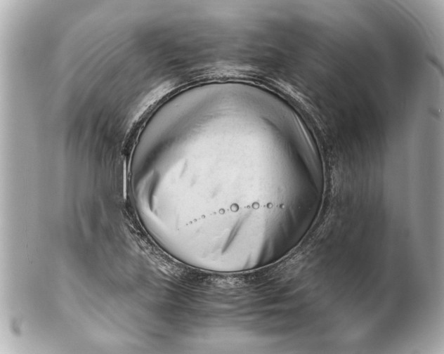 X0000101661219200807311428