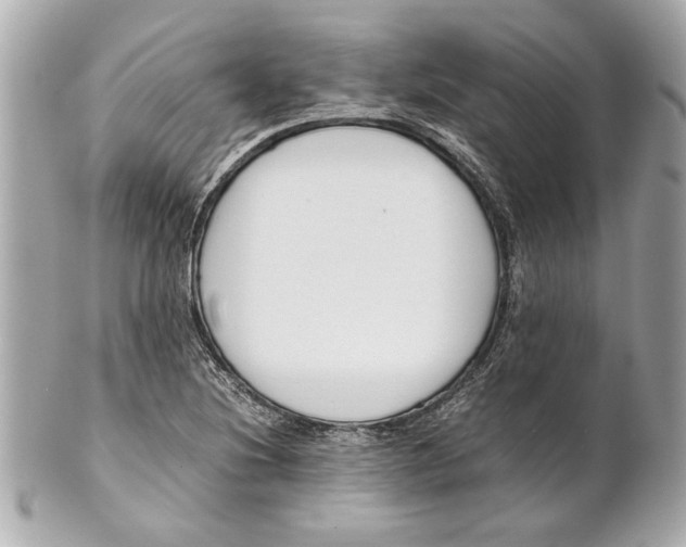 X0000101661220200807311428