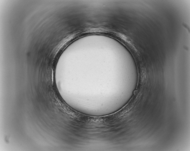 X0000101661221200807311428