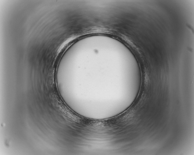 X0000101661222200807311428