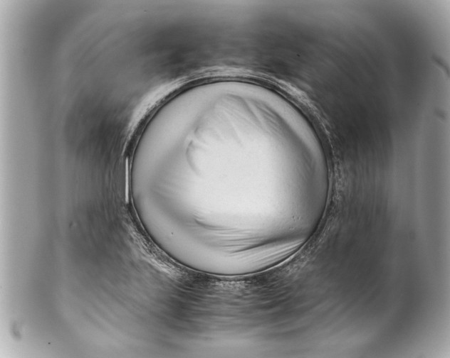 X0000101661223200807311428