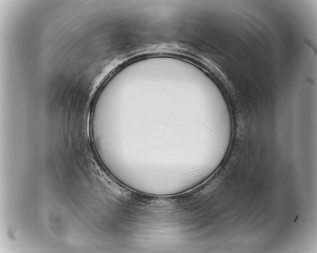 X0000101661224200807311428