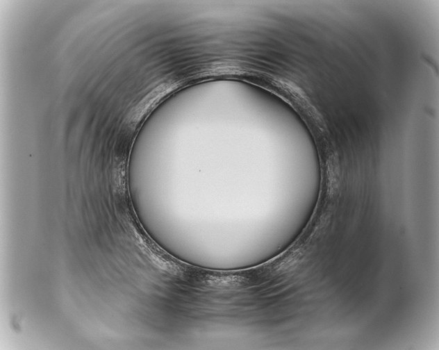 X0000101661225200807311428