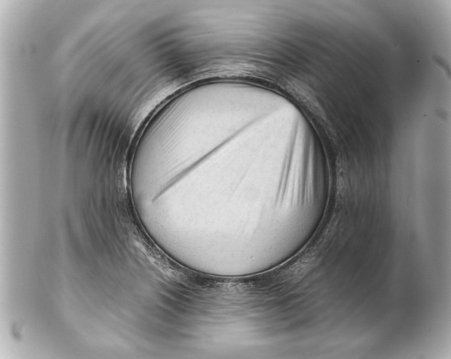 X0000101661226200807311428