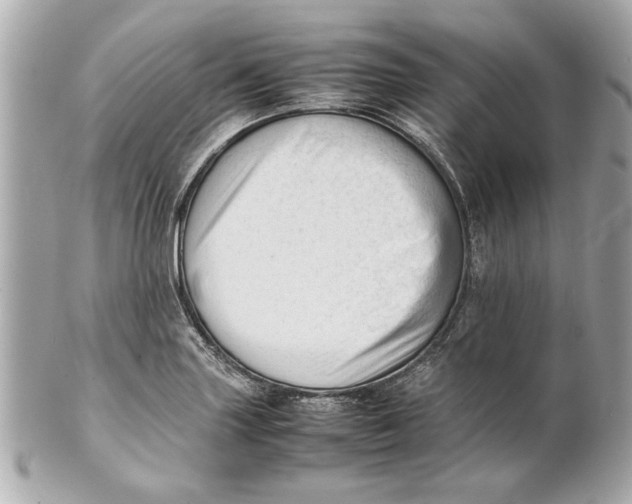 X0000101661227200807311428