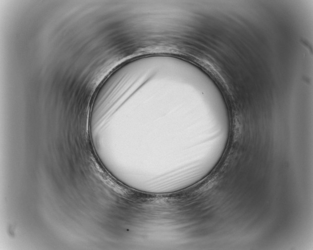 X0000101661228200807311428