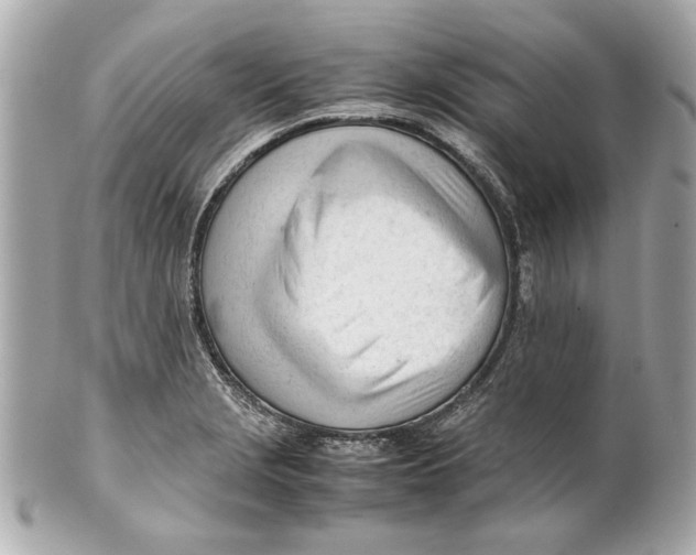 X0000101661229200807311428