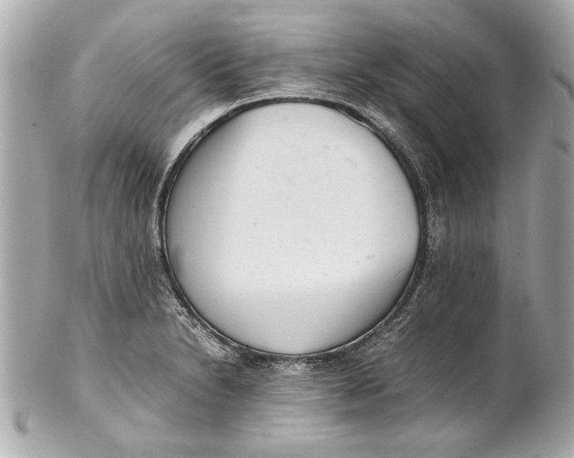 X0000101661230200807311428