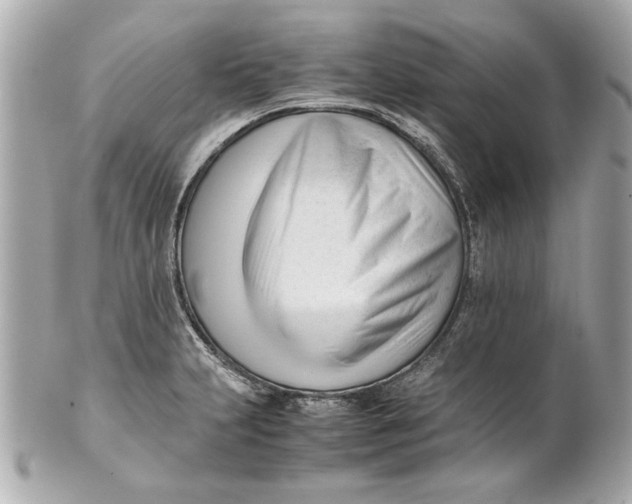 X0000101661231200807311428