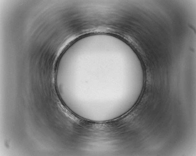 X0000101661232200807311428