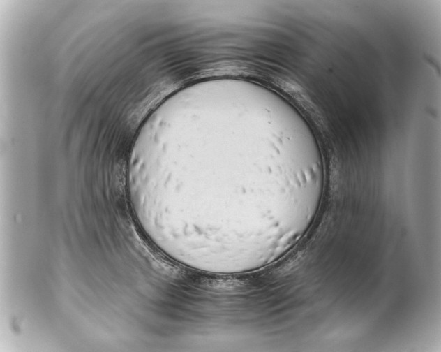 X0000101661233200807311428