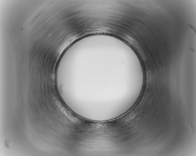 X0000101661234200807311428