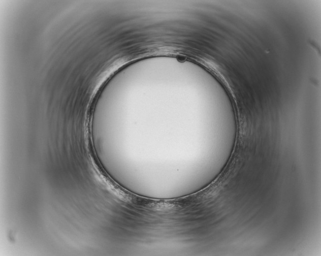 X0000101661235200807311428