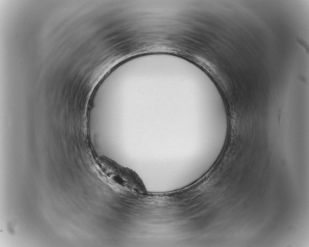 X0000101661236200807311428