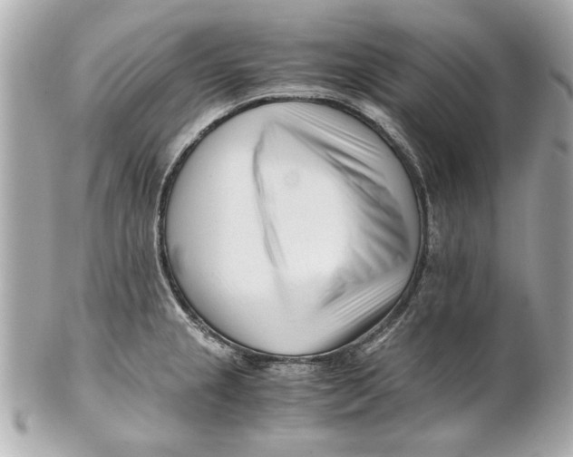 X0000101661237200807311428