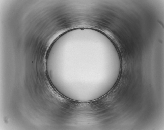 X0000101661238200807311428