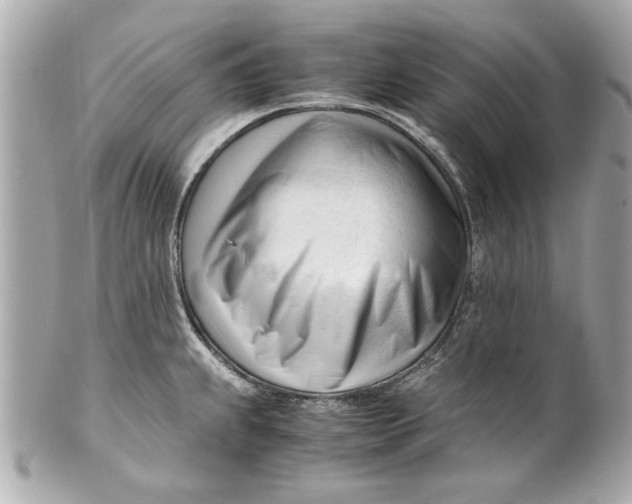 X0000101661239200807311428