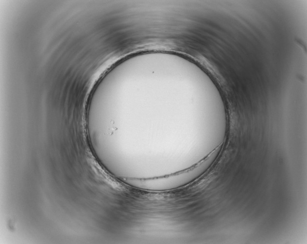 X0000101661240200807311428