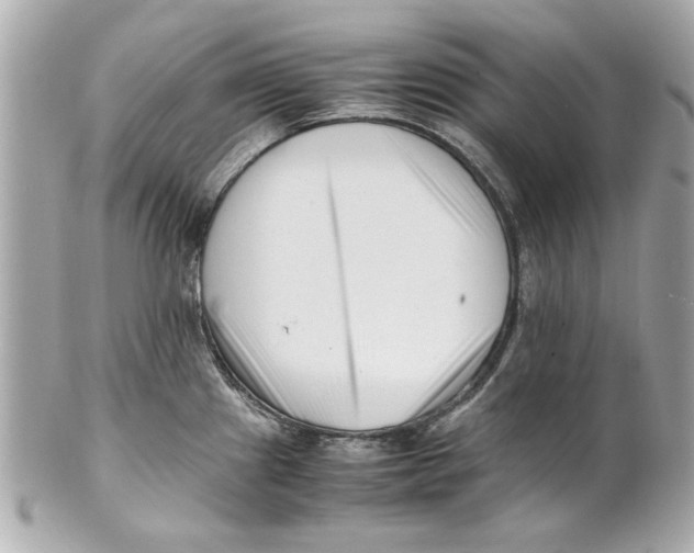 X0000101661241200807311428