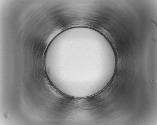 X0000101661242200807311428