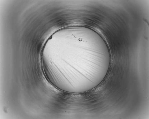 X0000101661243200807311428