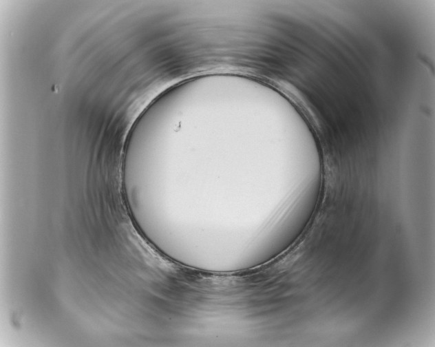 X0000101661244200807311428