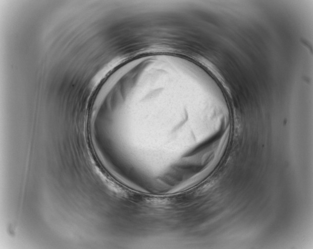 X0000101661245200807311428