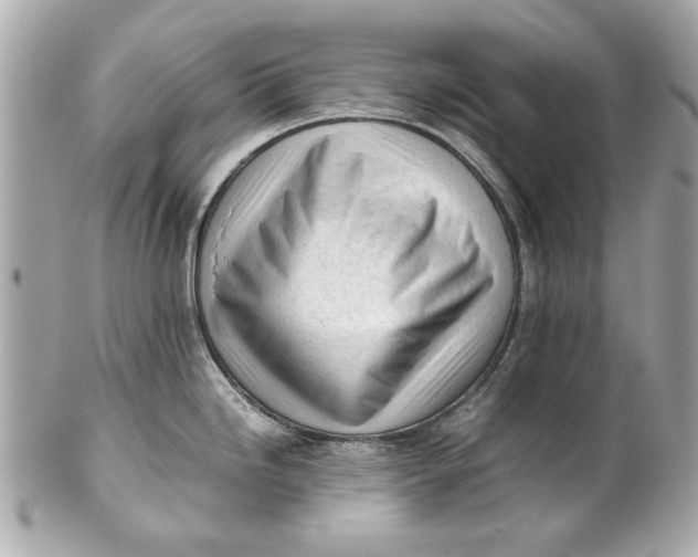 X0000101661246200807311428