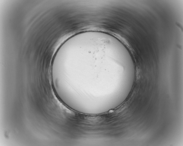 X0000101661247200807311428