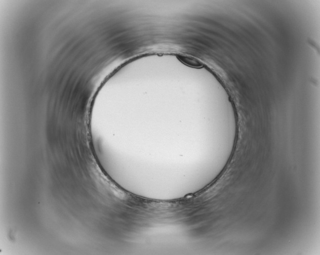 X0000101661248200807311428