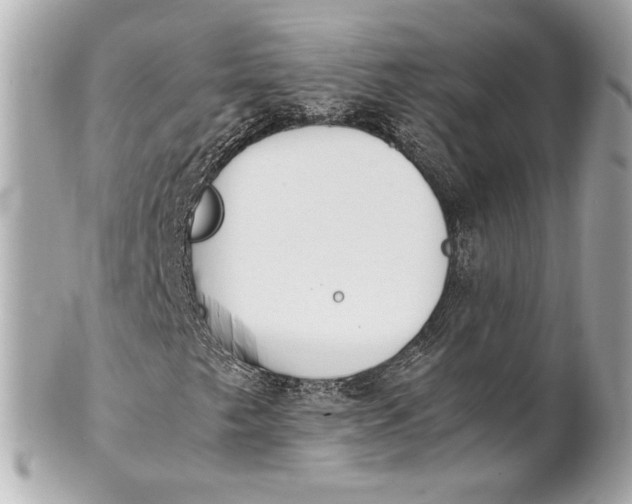 X0000101661249200807311427