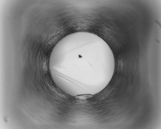 X0000101661250200807311427