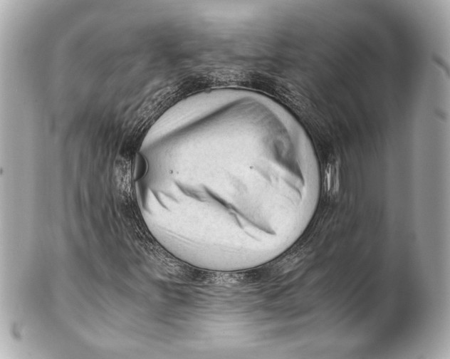 X0000101661251200807311427