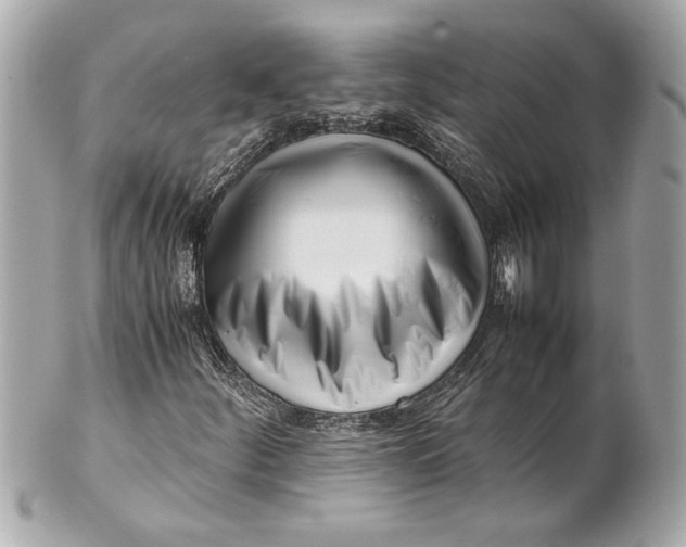 X0000101661252200807311427