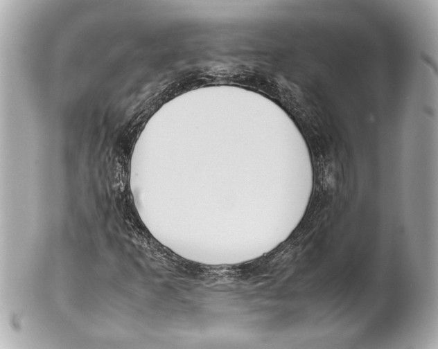 X0000101661253200807311427