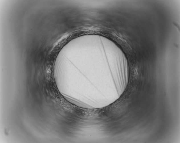 X0000101661254200807311427