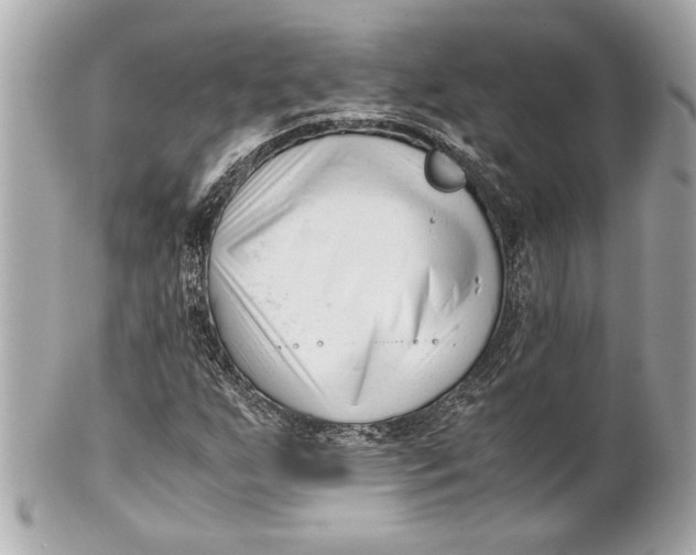 X0000101661255200807311427