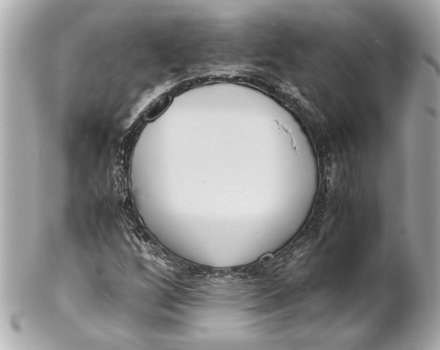 X0000101661256200807311427