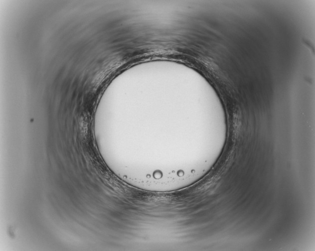 X0000101661257200807311427