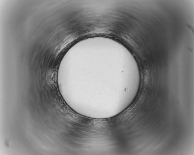 X0000101661258200807311427