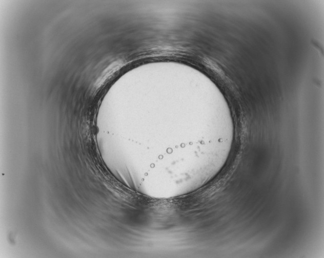 X0000101661259200807311427