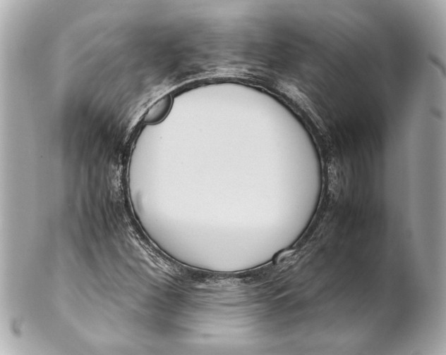 X0000101661260200807311427