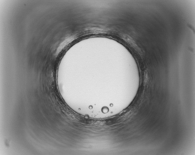 X0000101661261200807311427